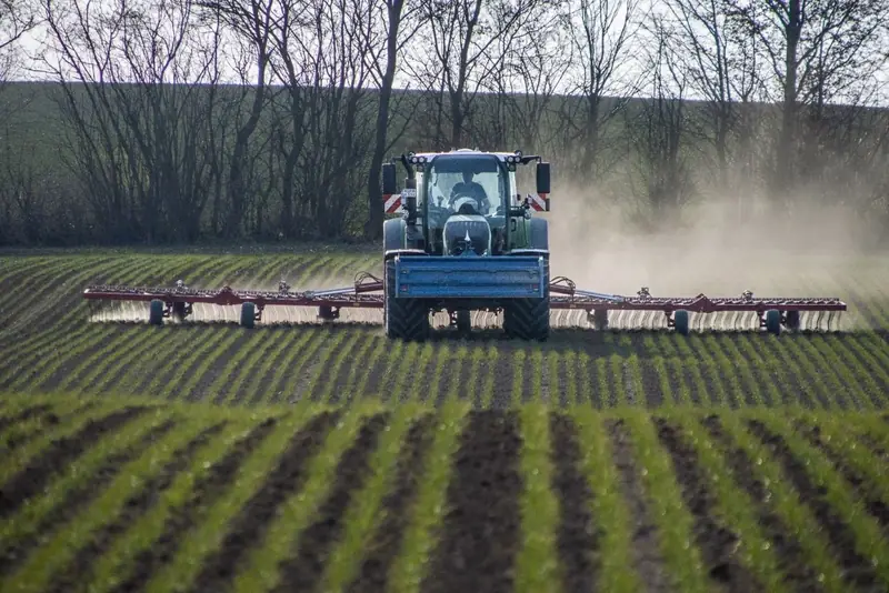 Horsch Cura Striegel