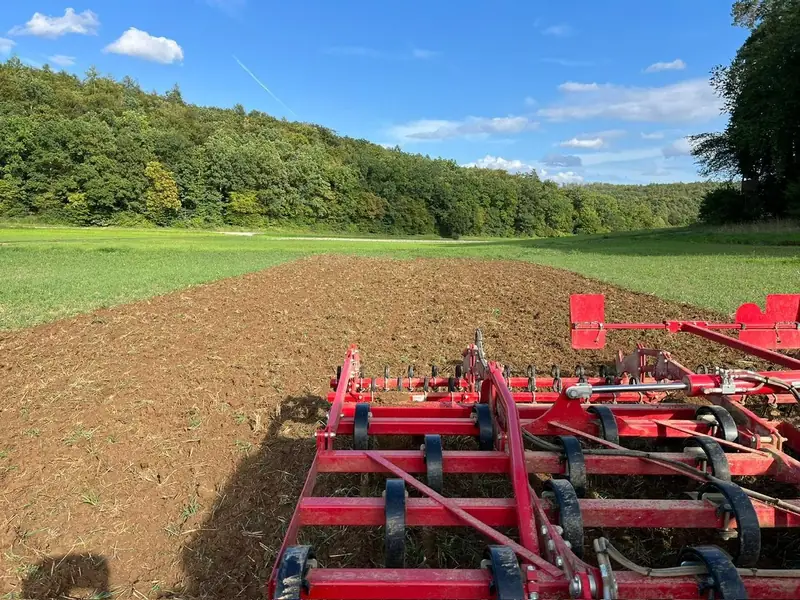Horsch Terrano 5 FX Grubber